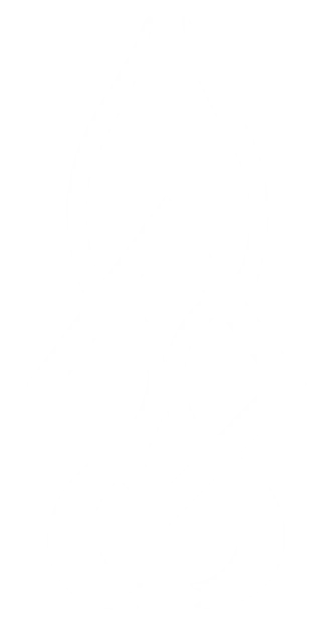 mefamex logo