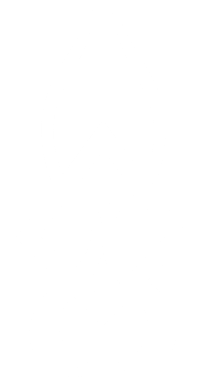 mefamex logo
